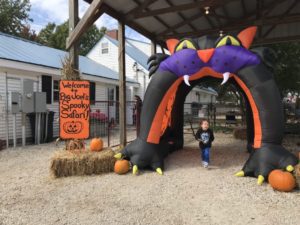 a Halloween venue with an inflatable black cat tunnel, and a child walking through it
