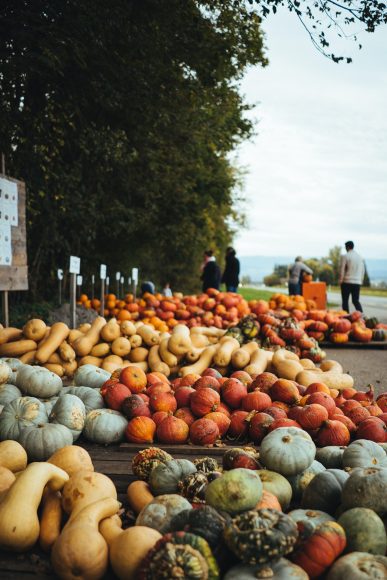 an outdoor market selling fall produce