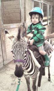 a toddler in a raincoat and rain boots riding on a saddled zebra