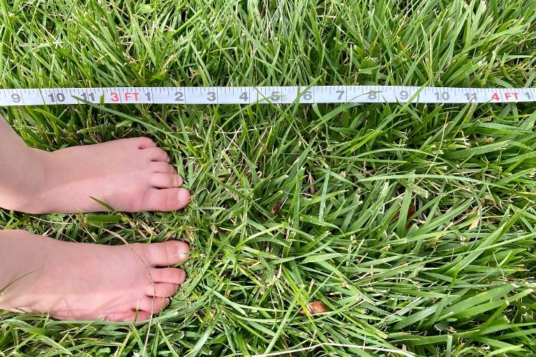 a close up of a child's feet in the grass next to a measuring tape to symbolize backyard science activities