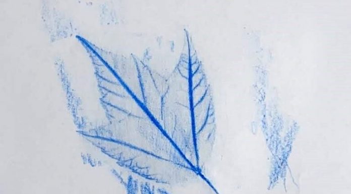 a leaf imprint made with crayon