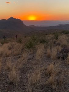 the sun setting over the desert