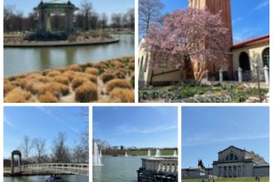 a collage of photos of Forest park in St. Louis