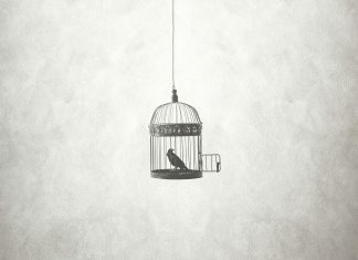 an open bird cage hanging from the ceiling with a bird inside, looking at the open door