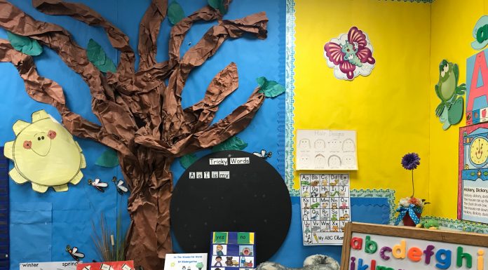 an elementary classroom, with charts on the wall, magnetic alphabet letters on an easel, and a tree on the wall made from craft paper