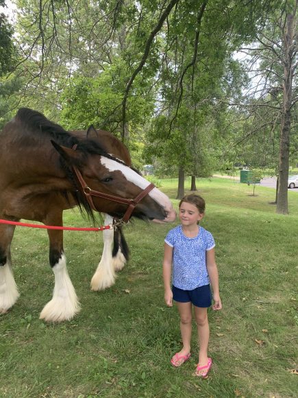 a young girl gets a kiss from a Clydesdale at Hanging with Heroes, a STL Mom event