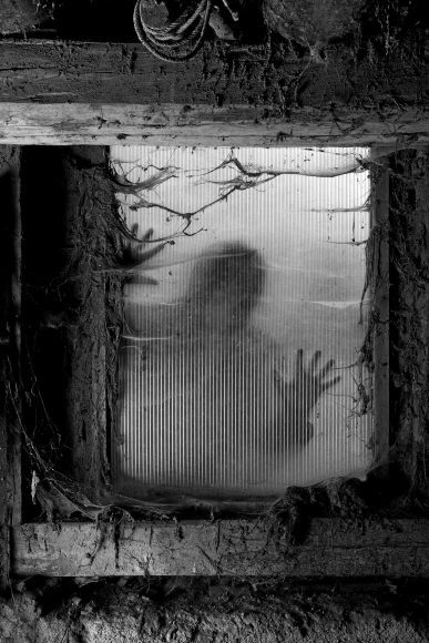 a black and white image of a window in a haunted house with the shadow of a man in the window