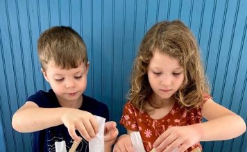 a boy and a girl conducting science activities with leaves using four mason jars with leaves in them and strips of coffee filters