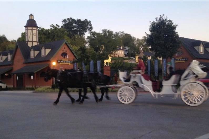 a horse drawn carriage on the streets of Hermann, Missouri during the holidays