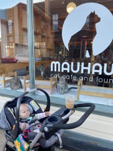 a baby in a stroller outside of Mauhaus cat cafe in Maplewood, MO