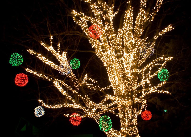 white Christmas lights outlining a tree with red and green lit up ornaments on the branches
