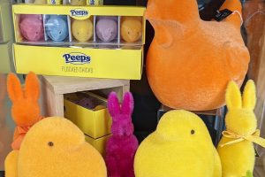 stuffed chickens, bunnies, and peeps next to real candy peeps for Easter