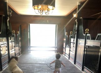 a little boy with dwarfism leading a miniature horse down a barn aisle at R&R Ranch in Wildwood, MO