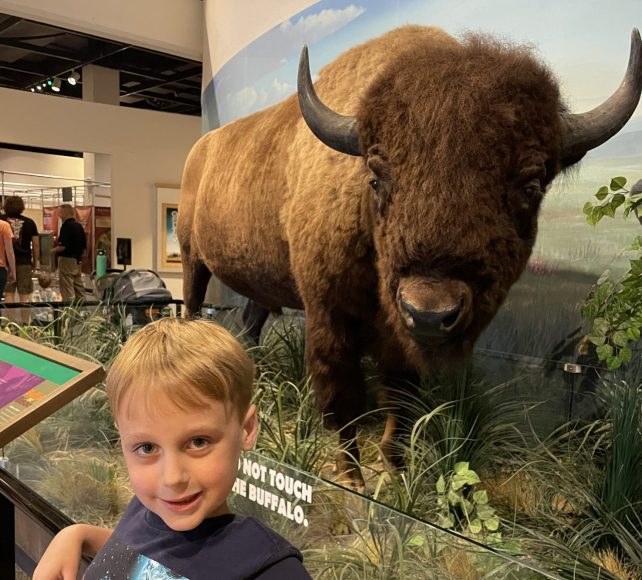 Josh posed with a bison in the permanent exhibit at The Durham Museum. 