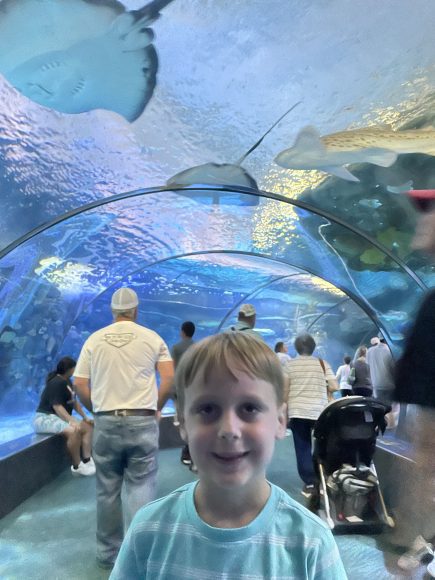 Josh in the shark tunnel at the Omaha Zoo.