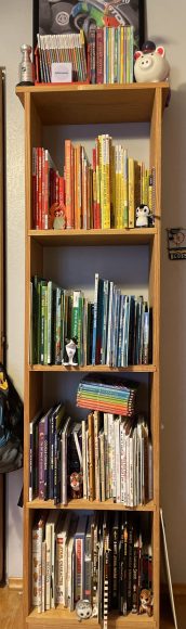 Josh's color coordinated bookshelf, full of books.