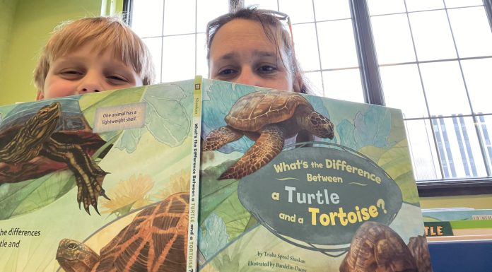 Josh and I found books about turtles at the Kidzeum in Springfield, IL.