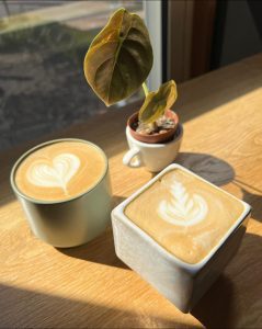 two coffees next to a plant on a table at Maypop Coffee + Garden Shop