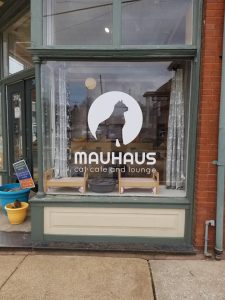 The window outside Bauhaus Cat Cafe in St. Louis