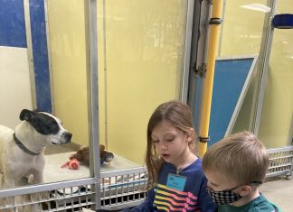 a young boy and girl reading books to animal shelter dogs