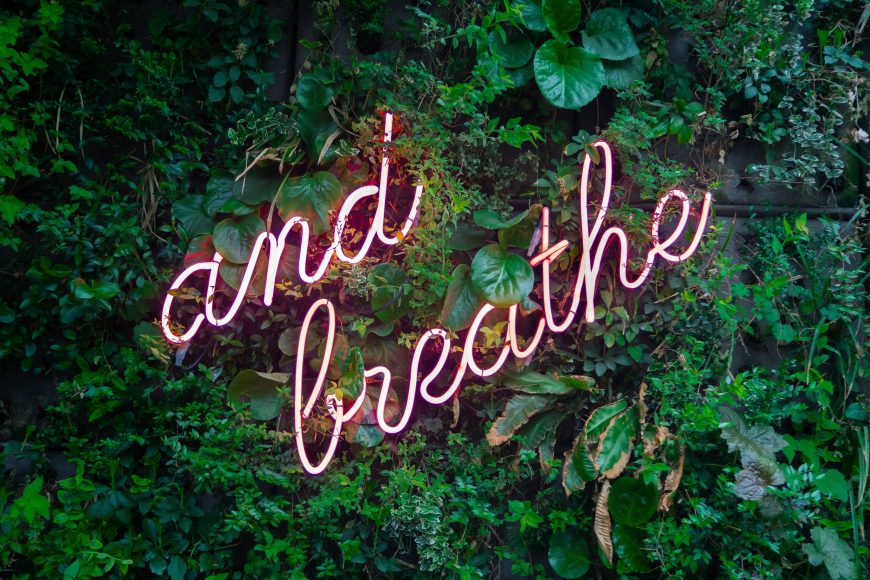 a wall of leaves with a neon sign that says, “just breathe"