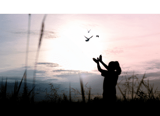 a woman with hands outstretched as birds fly off into the sunset in the sky