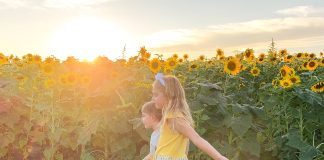 a boy and a girl walking through a field of sunflowers