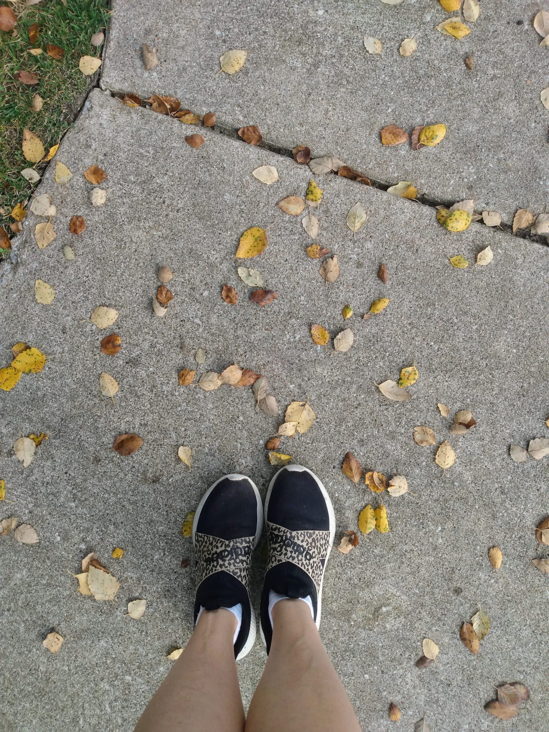 a view of a woman's lower legs in running shoes on a sidewalk strewn with fall leaves