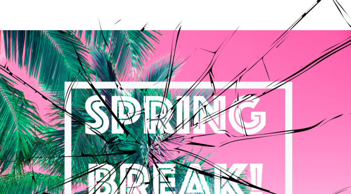 a palm tree on a hot pink background with the words, "spring break" in the middle
