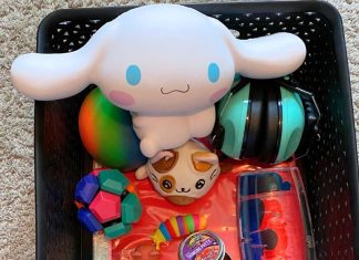 items like squishy toys and headphones that are in a calm down box