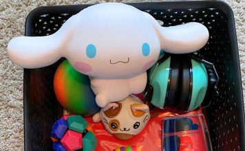 items like squishy toys and headphones that are in a calm down box