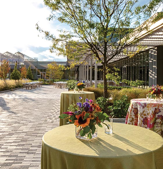 2024-Outdoor-Reception-Setup-BG-Image-Standard