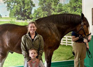 Three Unforgettable Memory-Makers in St. Louis With Kids