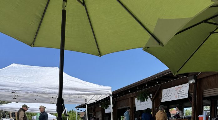 Mom’s Guide to Local Farmers Markets