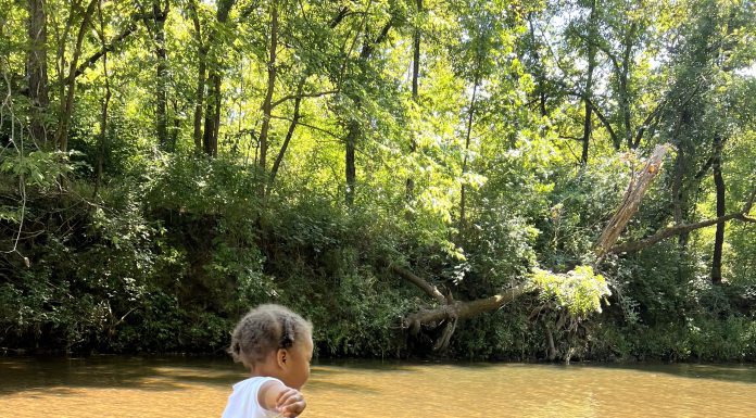6 Creeks We Love In and Around St. Louis