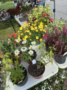 flowers from the Fenton Farmers Market