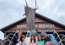 Family Road Trip to Springfield, MO: Big Fun Just Down the Road from St. Louis