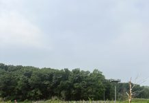 A St. Louis Mom’s Guide to the Southwest Michigan Shoreline