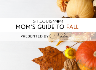 St. Louis Mom Fall Season Guide