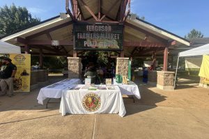 ferguson
