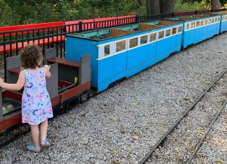 A Guide to Local Trains for Your Train Lover