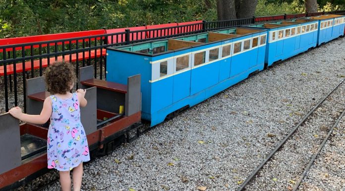 A Guide to Local Trains for Your Train Lover