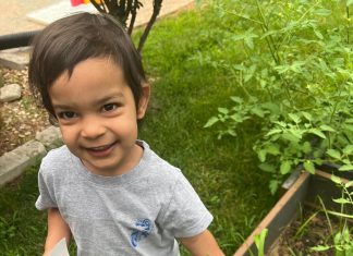 Planting Seeds of Wonder: A Journey into Gardening with Kids
