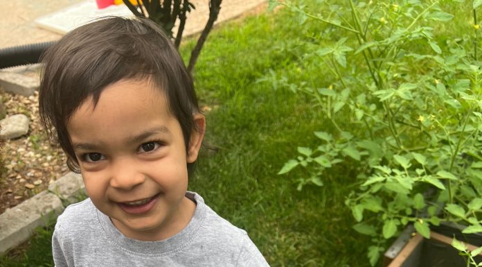 Planting Seeds of Wonder: A Journey into Gardening with Kids