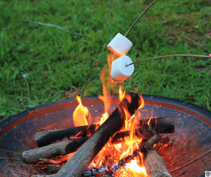 marshmallows on skewers roasting over a lit fire pit