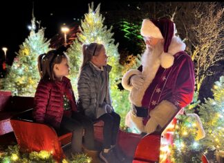 100 Things to Do in St. Louis During the Holidays