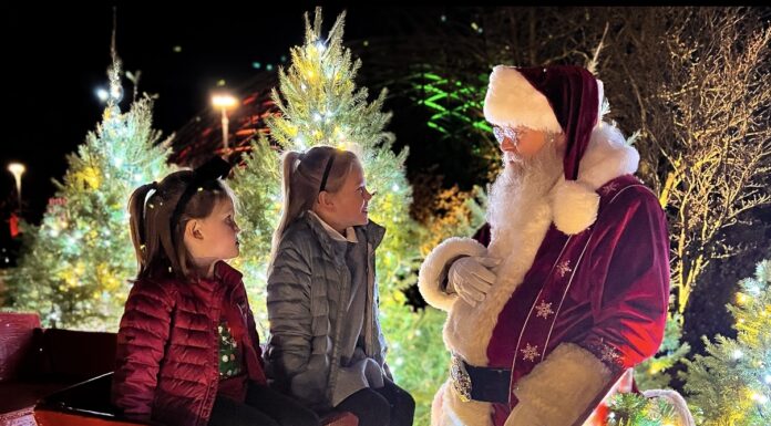 100 Things to Do in St. Louis During the Holidays