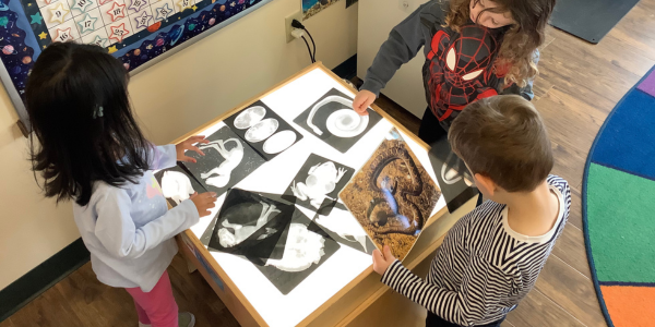 Xray table