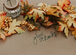 Mom’s Guide to Thanksgiving Events and Activities