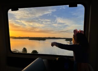 Some Days are for Disney World: Fighting for Presence on Special Days